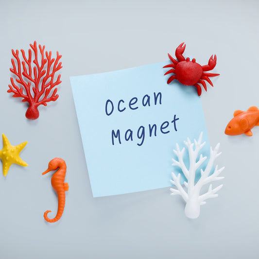 Kühlschrankmagnete Save the Ocean (Recycelter Kunstoff)