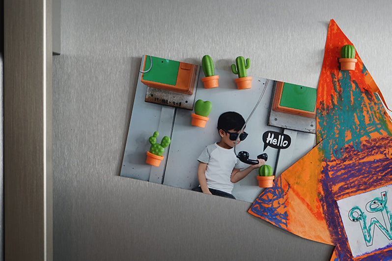 Kaktus Magnete (Recycelter Kunstoff)