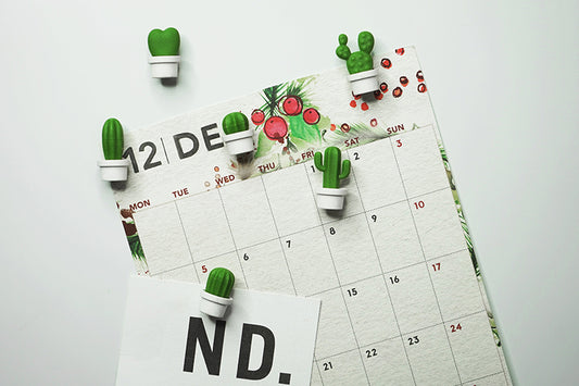 Kaktus Magnete (Recycelter Kunstoff)