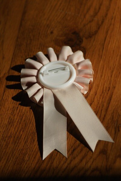 Ribbon Buttons 22 Versionen z.B. Schulkind , Beste Mama , Beste Oma