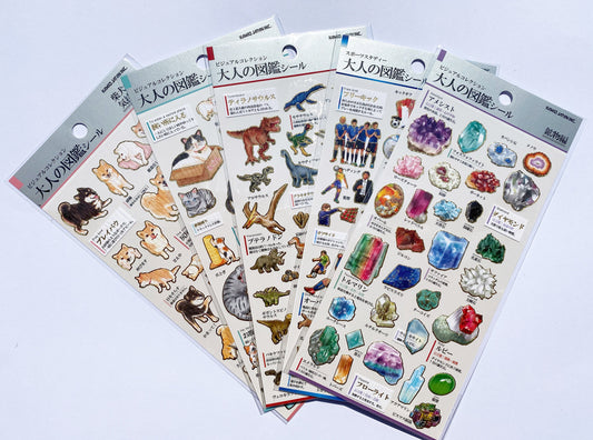 Kamio Aufkleber Dino Fussball Katze Hund Edelsteine