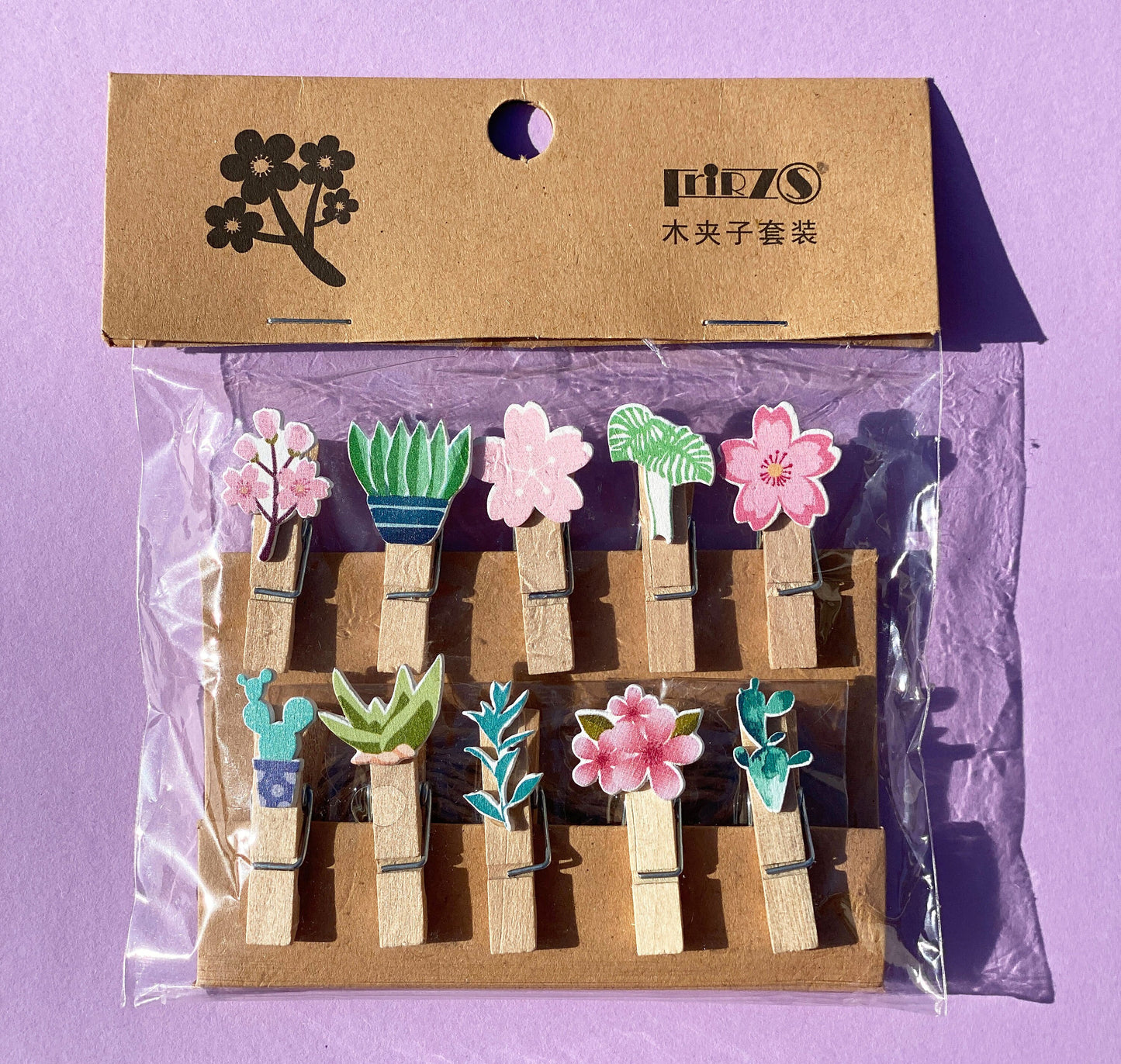Blumen Früchte -Holzklammern Miniklammern, 10er Set