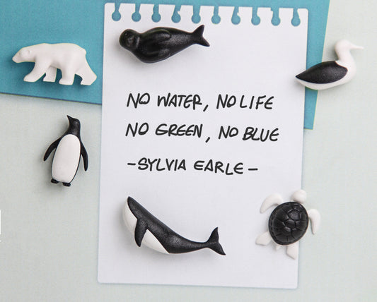 Kühlschrankmagnete Save the Ocean (Recycelter Kunstoff)