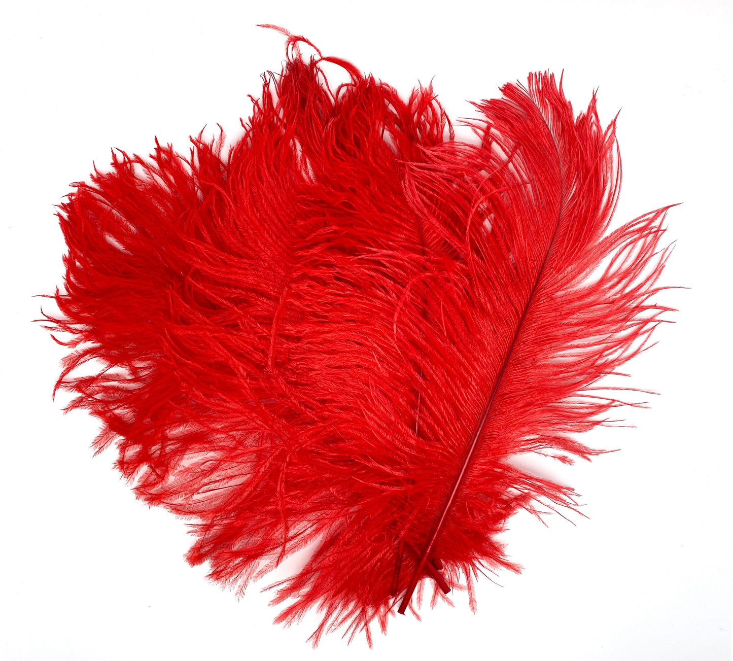 Straussefedern rot "25 -30 cm"