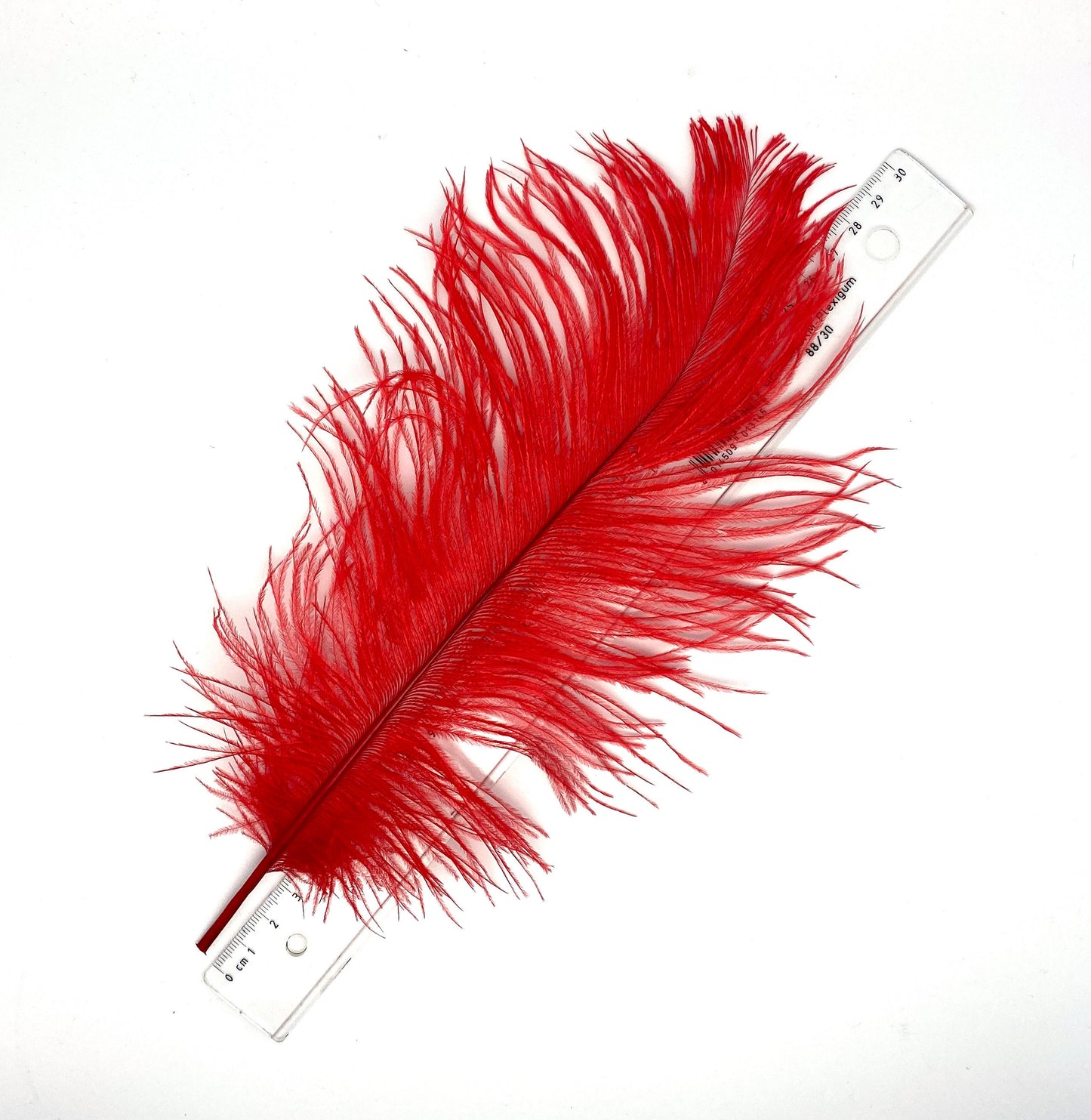 Straussefedern rot "25 -30 cm"