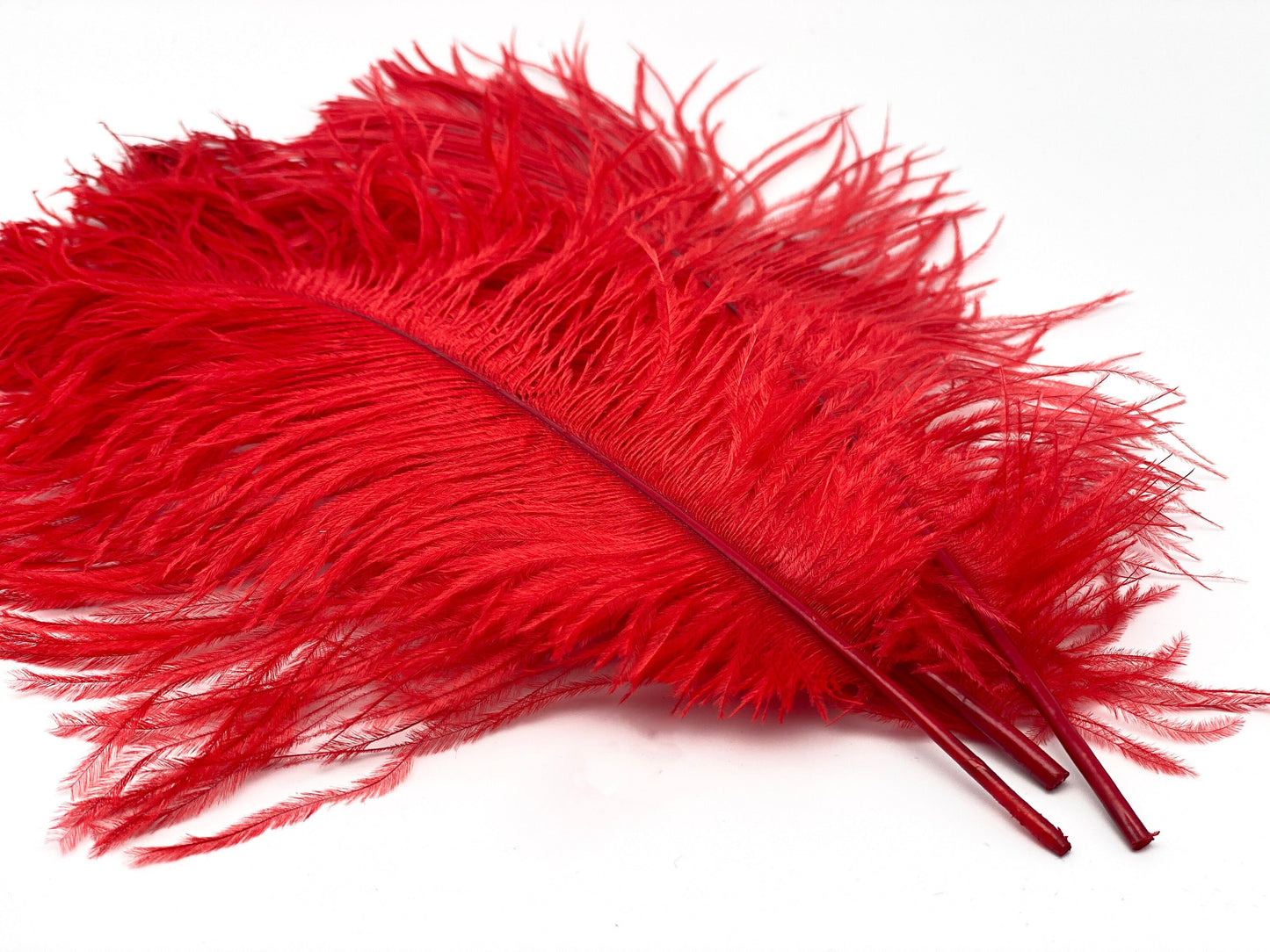 Straussefedern rot "25 -30 cm"