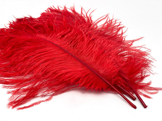 Straussefedern rot "25 -30 cm"