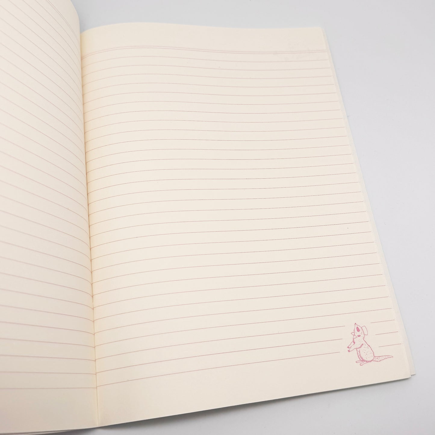 Erdmännchen / Eisbär - Notizheft  B5 Format 252 x 179