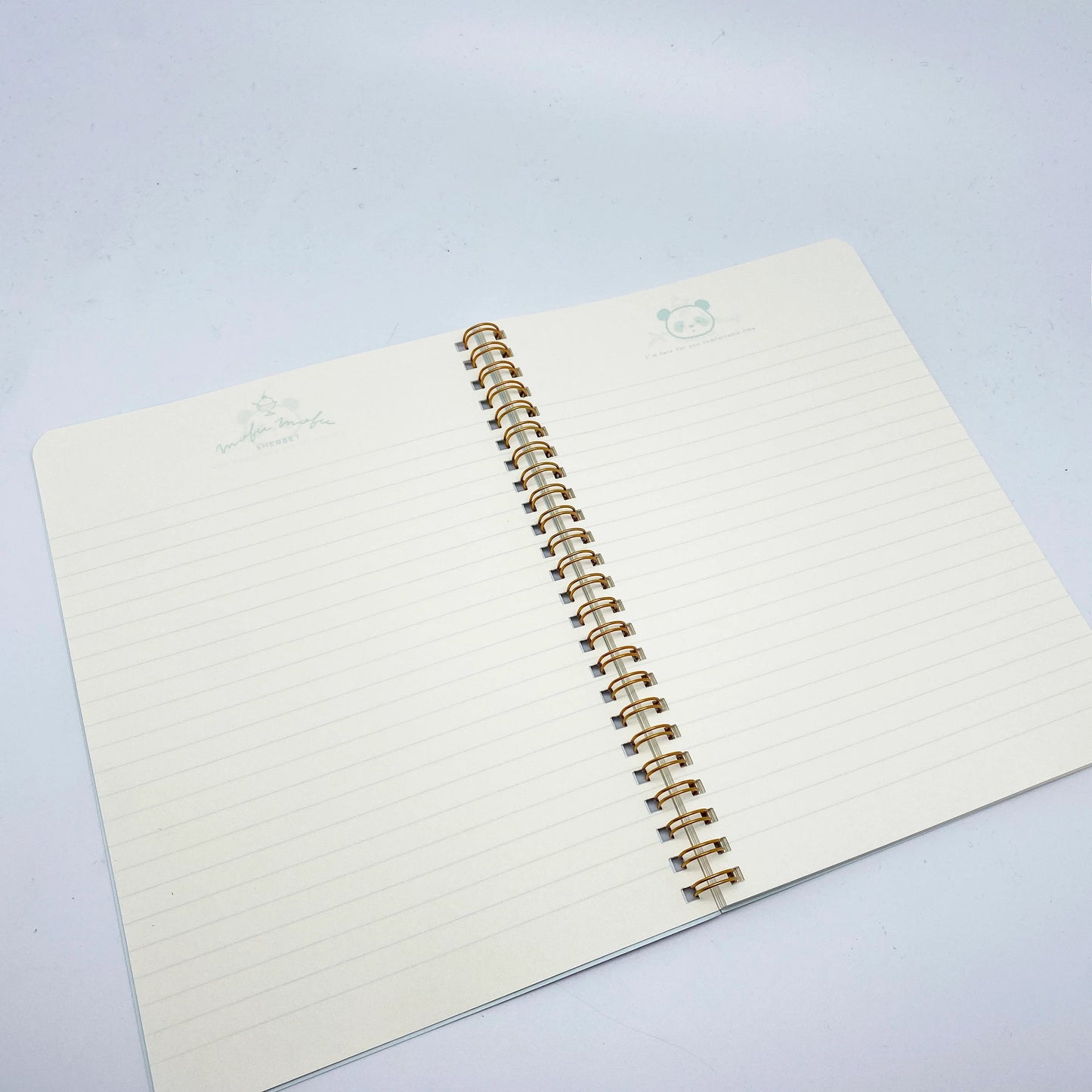 Panda -  Notizheft, Notebook, Ringheft liniert A5