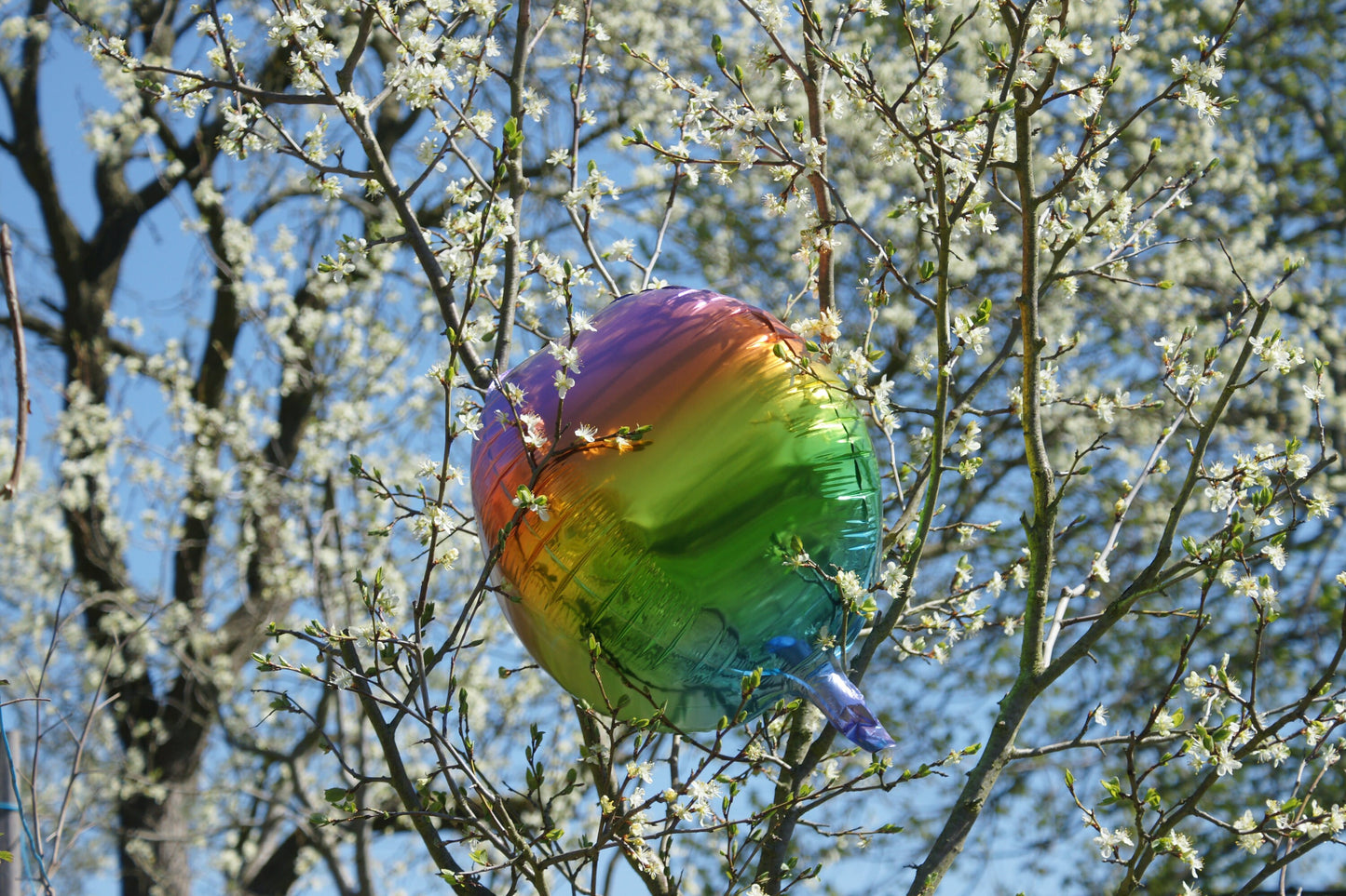 Folienballons Herzen / Regenbogen