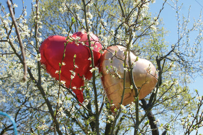 Folienballons Herzen / Regenbogen