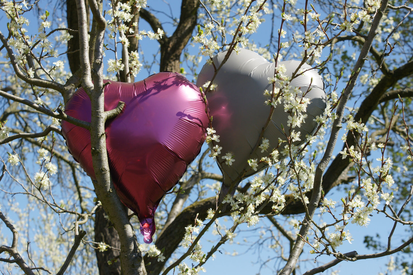 Folienballons Herzen / Regenbogen