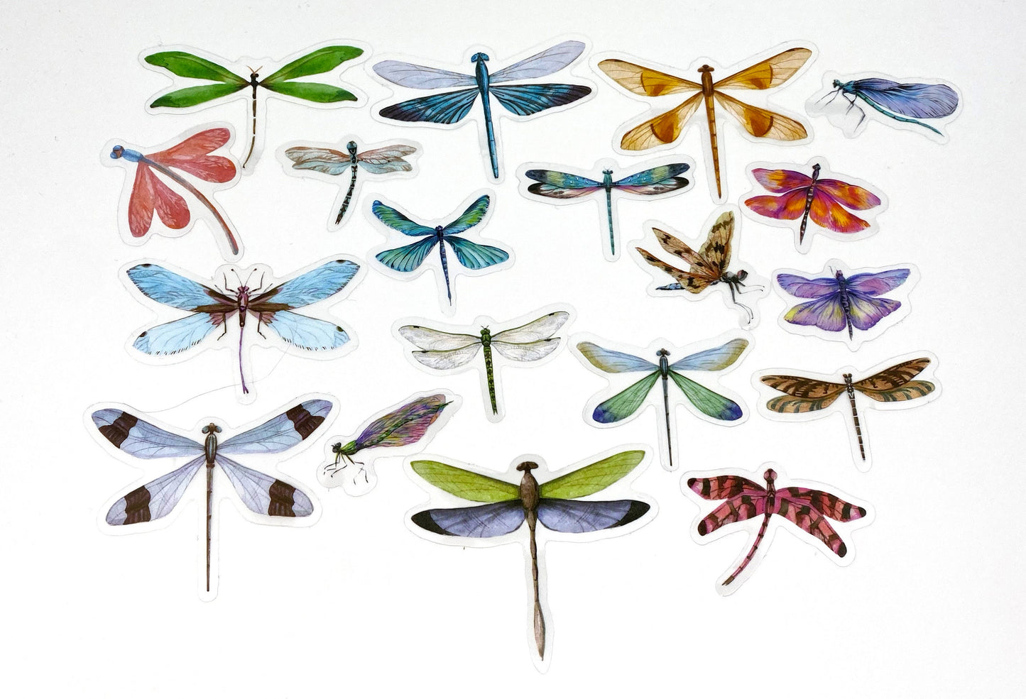 Schmetterlinge Libellen Sticker / Aufkleber je 40 Stück